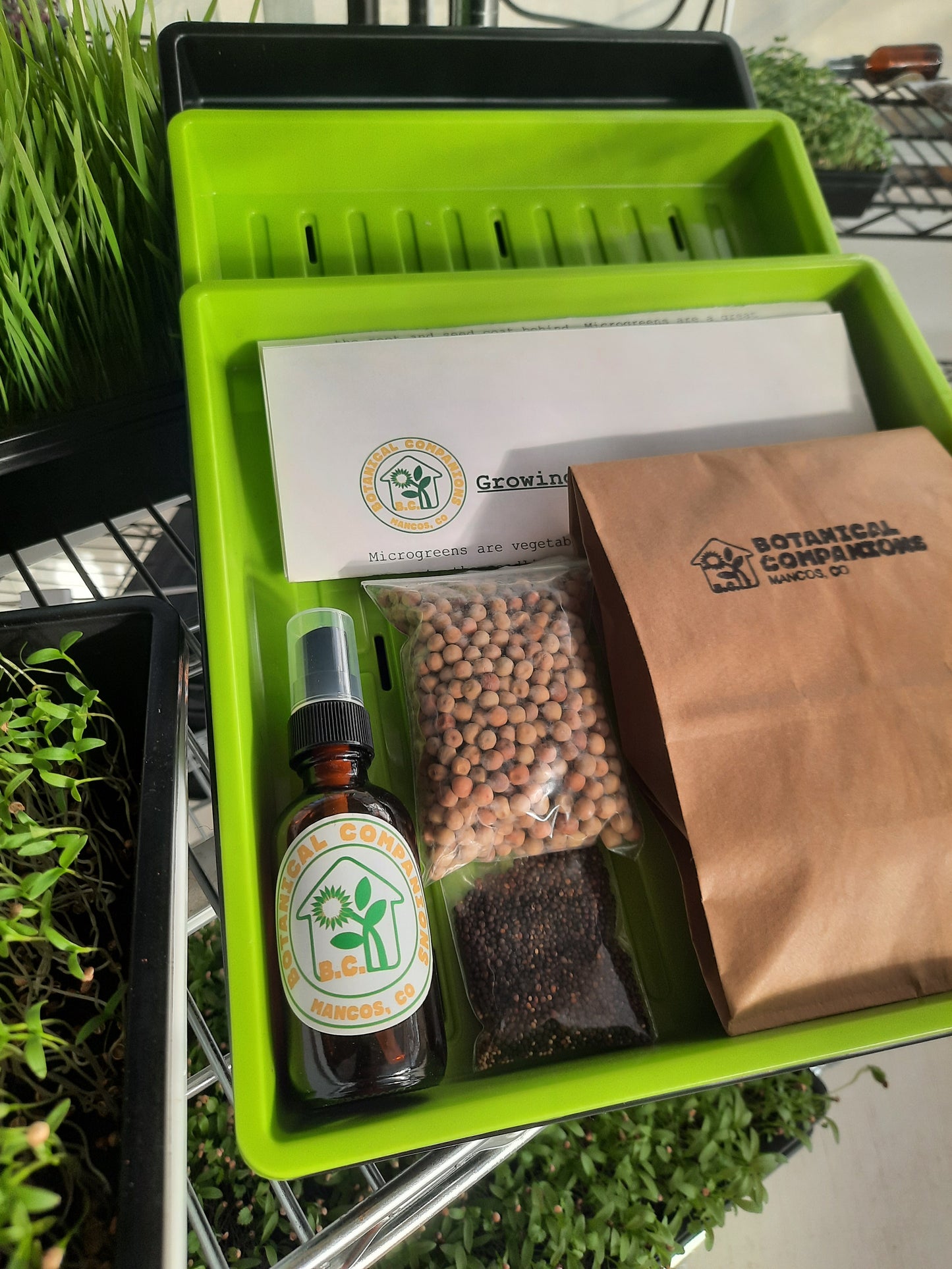 Microgreen Home Grow Kit-Continuum