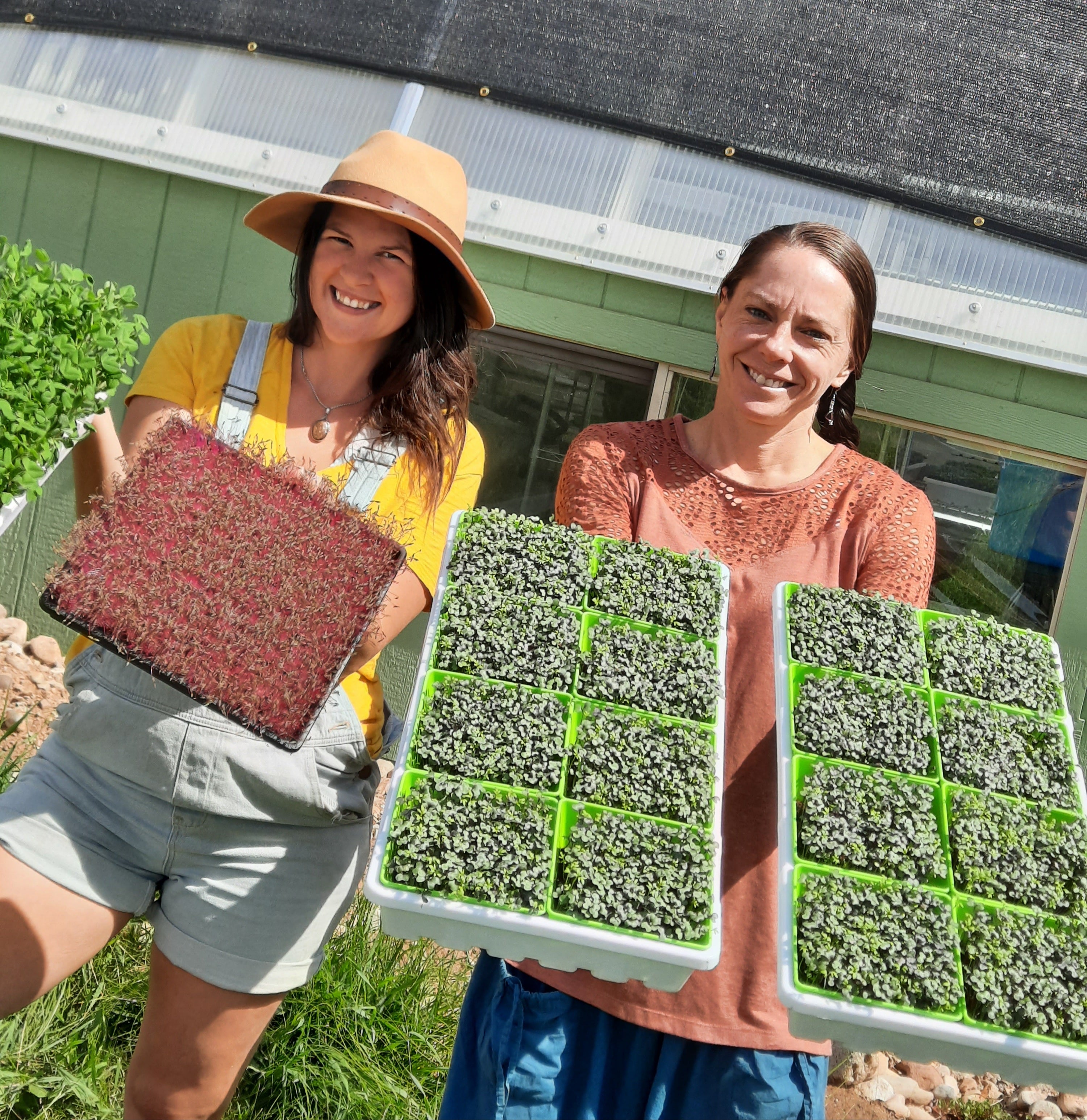 Botanical Companions displaying microgreens in front of greenhouse. 