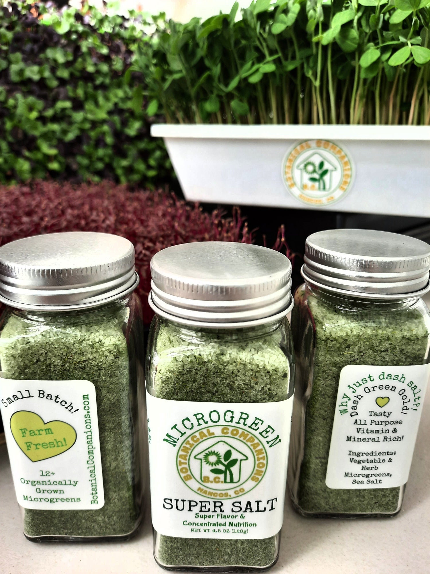 Jars of microgreen salt in front of fresh microgreens with labels showing flavor and nutrition benefits and ingredients of microgreens and sea salt.