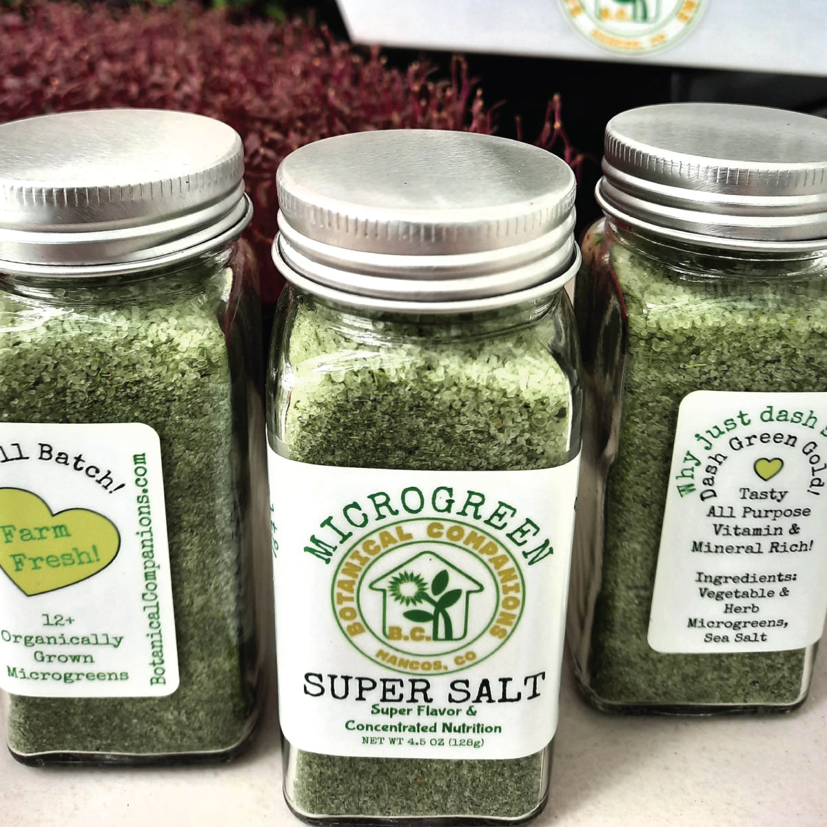 Jars of microgreen salt in front of fresh microgreens with labels showing flavor and nutrition benefits and ingredients of microgreens and sea salt.