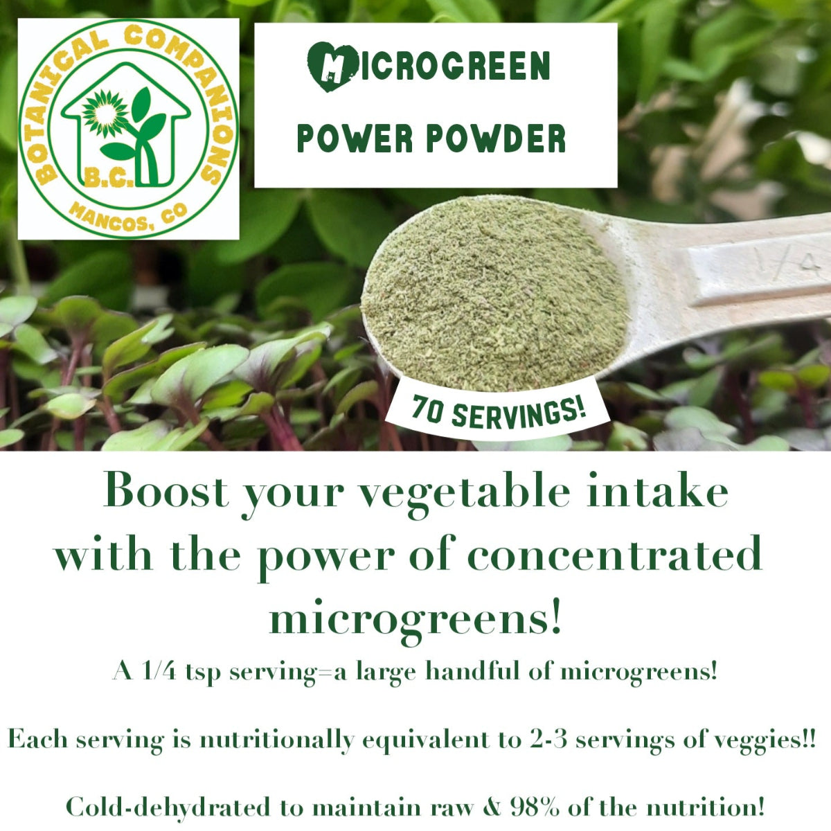 A quarter teaspoon full of microgreen power powder with text about boosting your vegetable intake with the power of concentrated microgreens, 70 servings, 1/4 teaspoon serving is equivalent to a handful of fresh microgreens, which is nutritionally equivalent to 2-3 servings of vegetables, cold-dehydrated to maintain raw and 98% of the nutrition with Botanical Companions branding on a green leafy background.