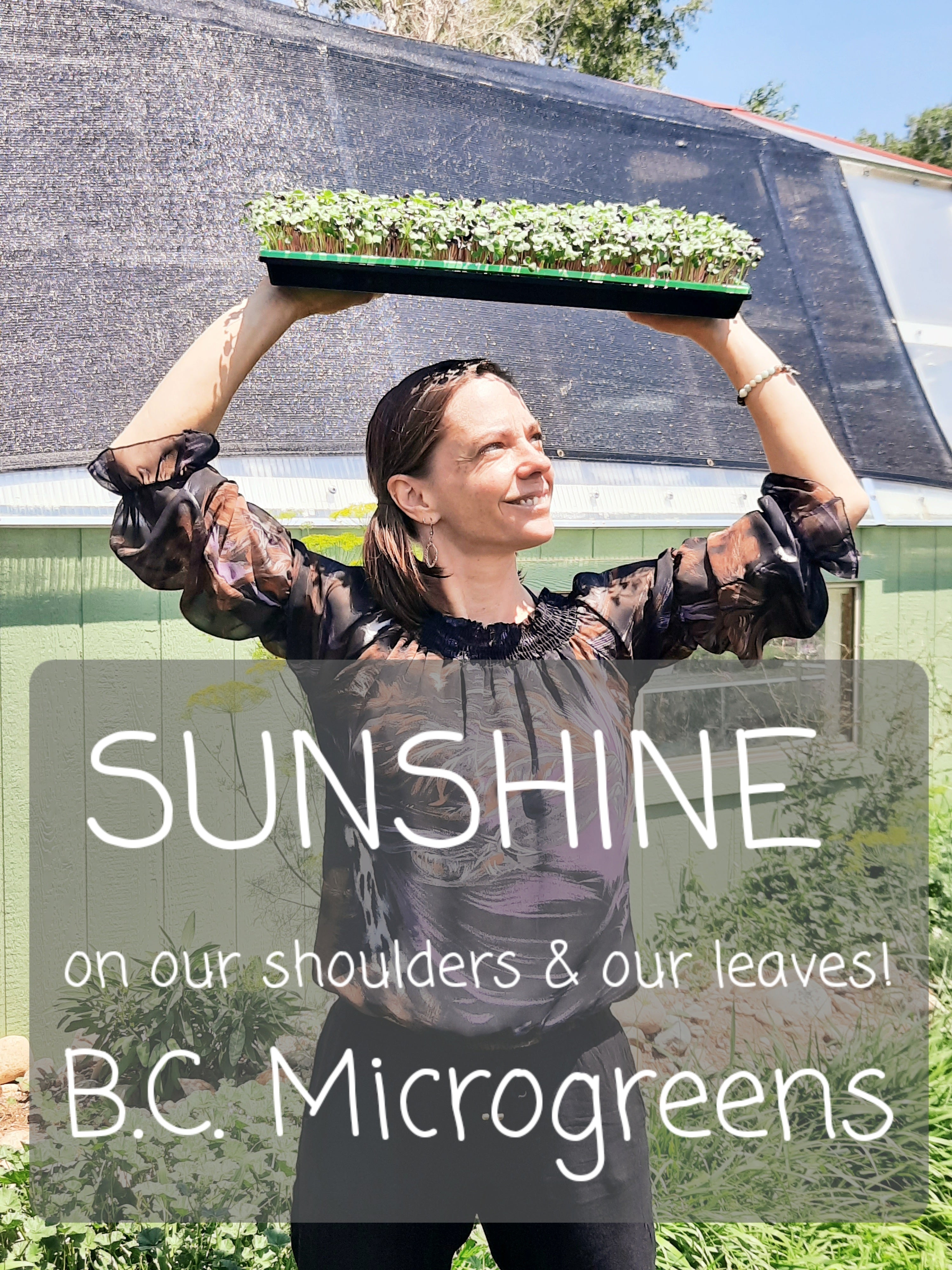 Girl holding microgreens up toward the sunshine in front of a passive solar greenhouse.